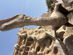 IMG_4062.jpeg