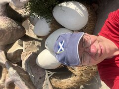 IMG_4061.jpeg