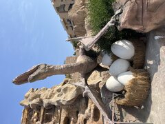 IMG_4063.jpeg
