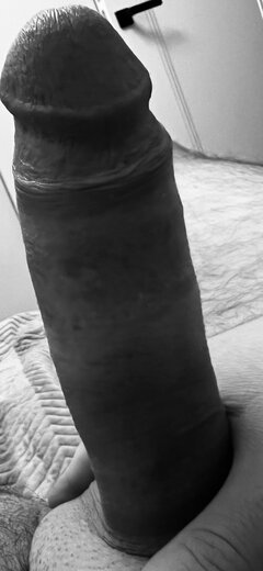 IMG_2291.jpeg