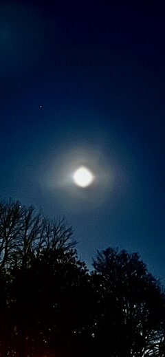 🌕🌚🌛🌙 👠🙎‍♀️