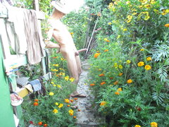 IMG_9644.JPG