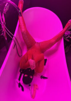 IMG_7906.jpeg