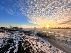 IMG_8418.jpg