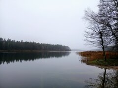 20251109_090614.jpg