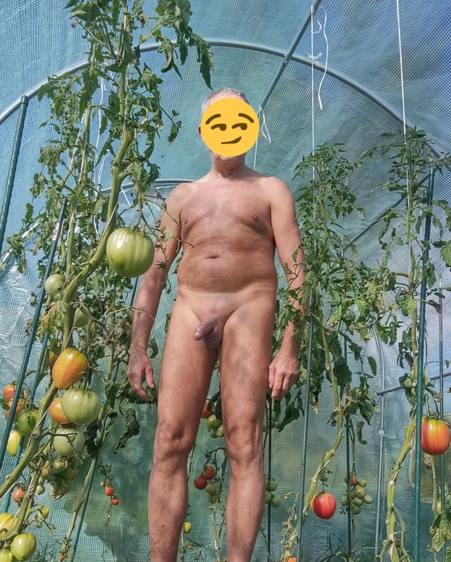 Miras66