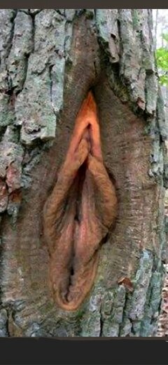 Screenshot_20251104_223129_Firefox.jpg