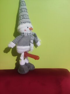 IMG_20251113_194716.jpg