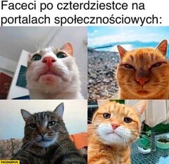 IMG_8387.jpeg