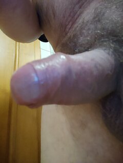 IMG_20251114_212435.jpg