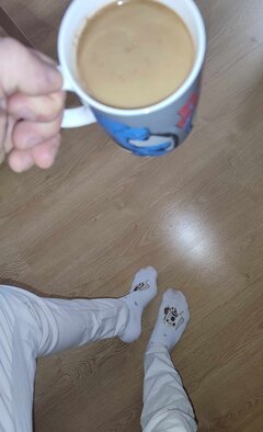 IMG_20251115_082704.jpg