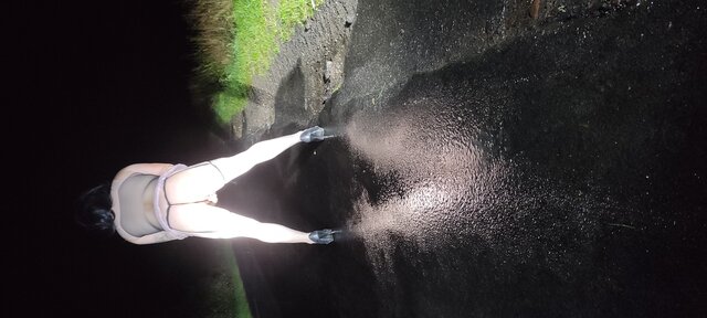Dam199021