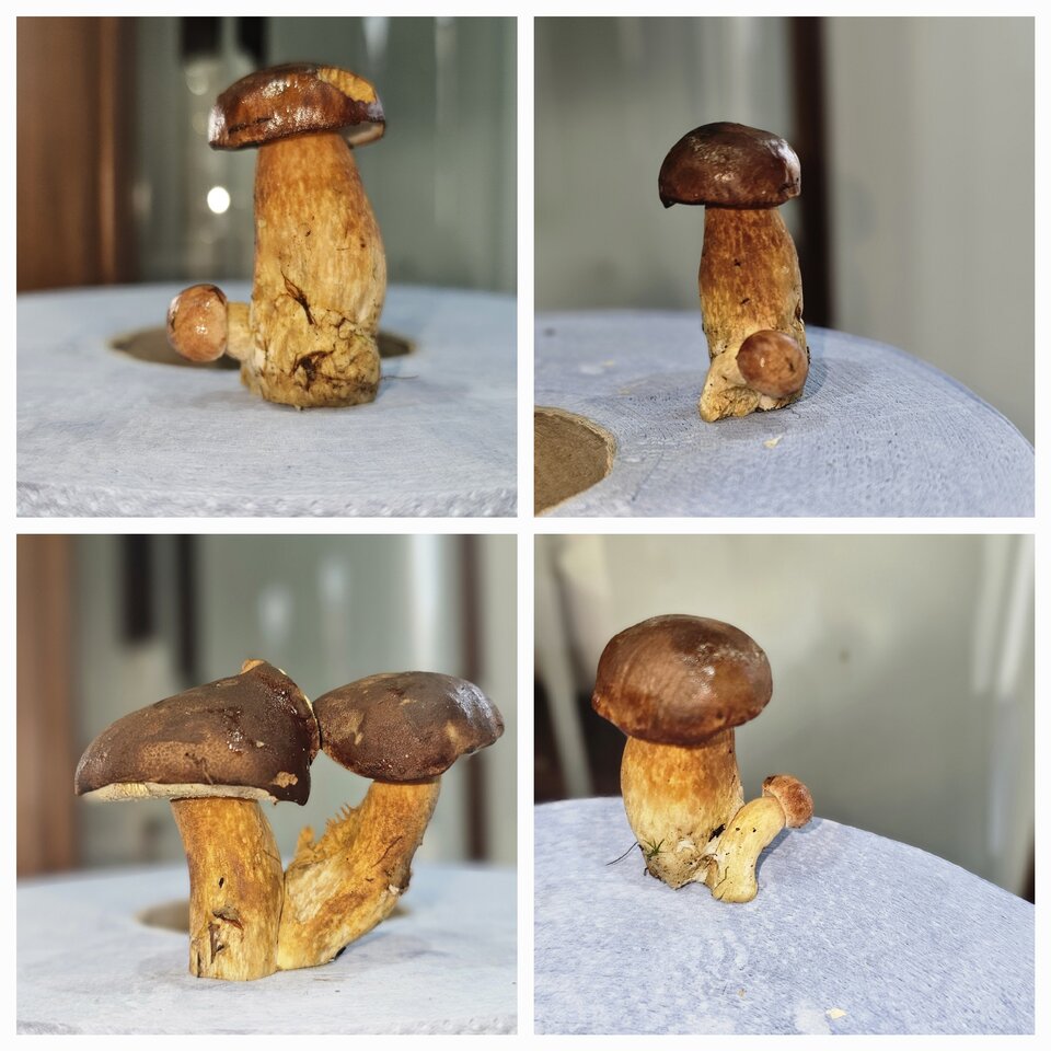 1000030865.jpg - Volta7472