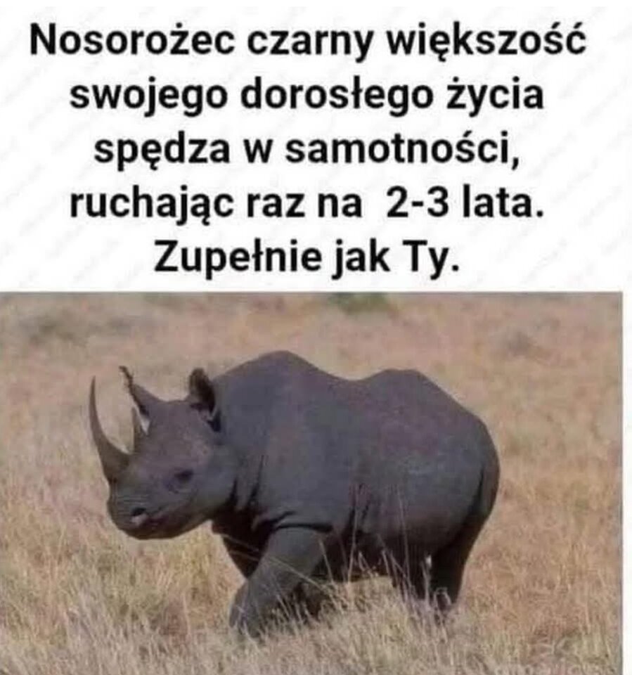 1000026035.jpg - Operator_odkurzacza