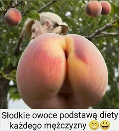 FB_IMG_1763419037573.jpg