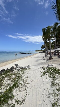 IMG_2419.jpeg