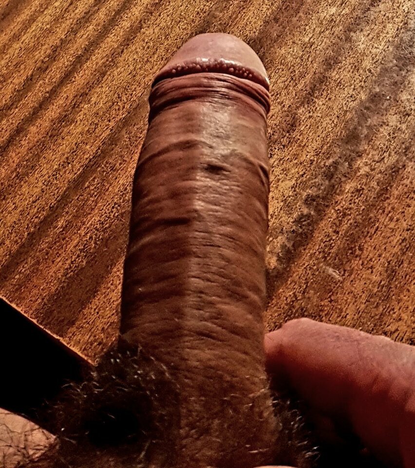 20190607_222856.jpg - Whitelittlecock