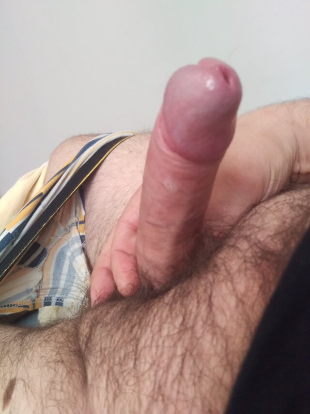 Tygryseekp