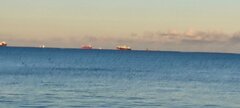 IMG_20251122_144702.jpg