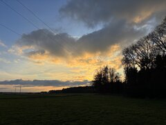 IMG_7393.jpeg