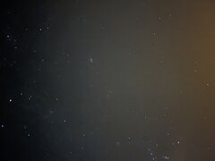 IMG_7397.jpeg