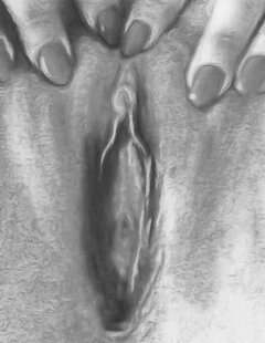 Screenshot_20250908_172916_Gallery.jpg