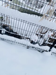 IMG_8326.jpeg