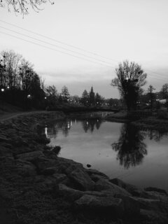 20251123_065917.jpg