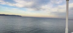 IMG_20251123_140226.jpg