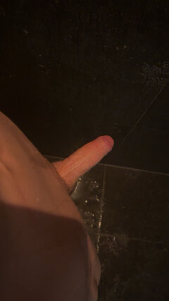 IMG_2589.jpeg