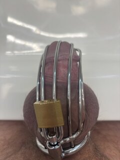 IMG_8126.jpeg