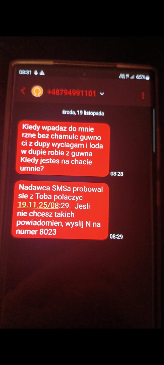 WiolkaXes