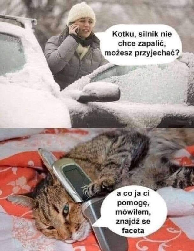 Templxr