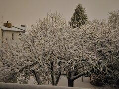 1000010126.jpg