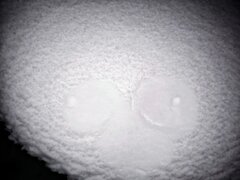 2c9cf50f-9aa7-49d2-bcd2-5c0846b30244.jpeg