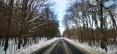 IMG_20251127_100312.jpg