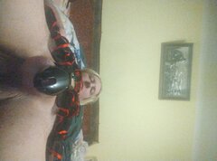 IMG_20251128_215146310.jpg