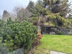 IMG_4816.jpeg