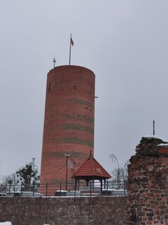 IMG_20251129_151650.jpg