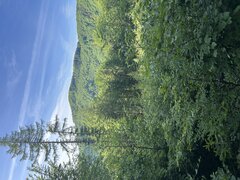 IMG_3232.jpeg