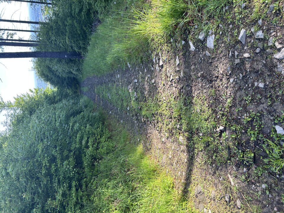 IMG_3231.jpeg - tom745