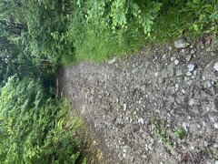 IMG_3230.jpeg