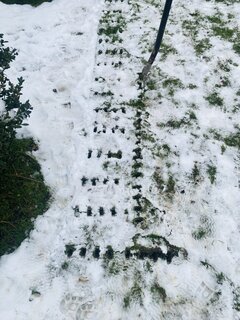 IMG_8399.jpeg