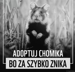 Jest apel...