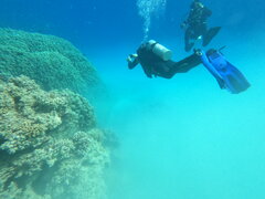 1000011555.jpg