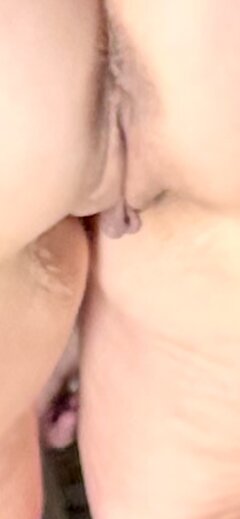 IMG_7886.jpeg