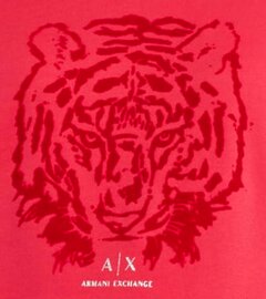 🐯