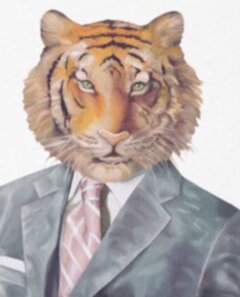 🐯