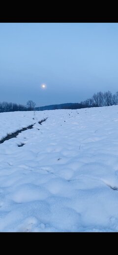 IMG_8427.jpeg