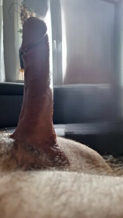20250517_153643.jpg